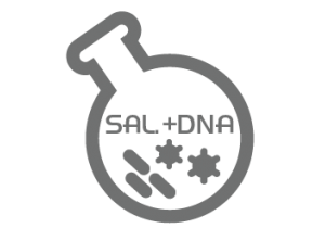 Obecność Salmonella sp. oraz obecność specyficznego DNA Salmonella sp.-